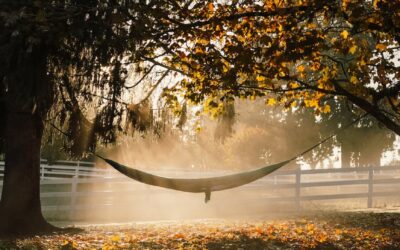 Fall Writing Frenzy
