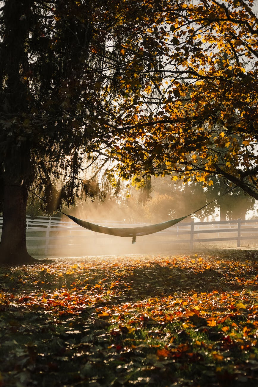Fall Writing Frenzy