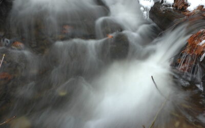 What is Flow?